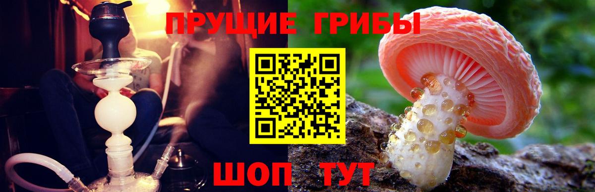 Чусовой  Галлюциногенные грибы Psilocybe  Вход с VPN 
